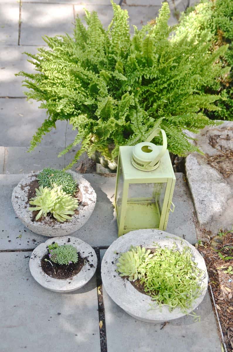 Save lots of money by making your own chic and modern concrete planters with this easy tutorial.