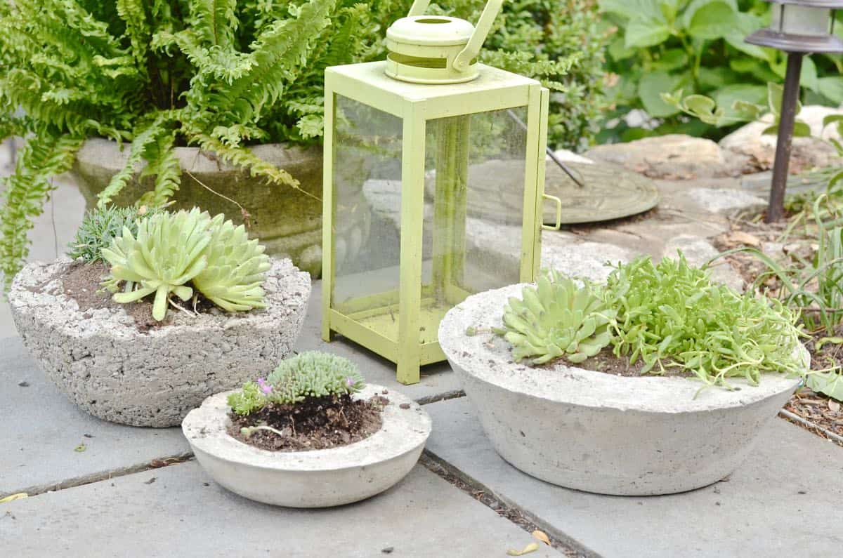 Save lots of money by making your own chic and modern concrete planters with this easy tutorial.