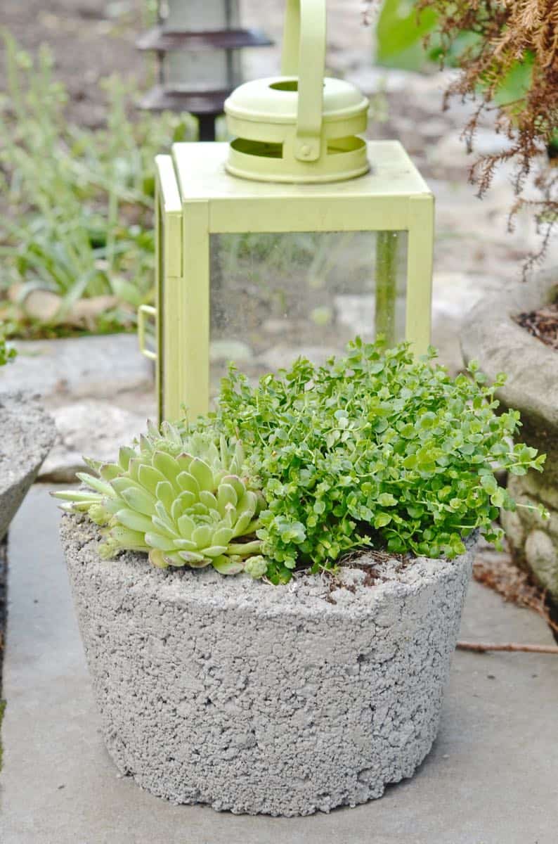 DIY Concrete Garden Planters