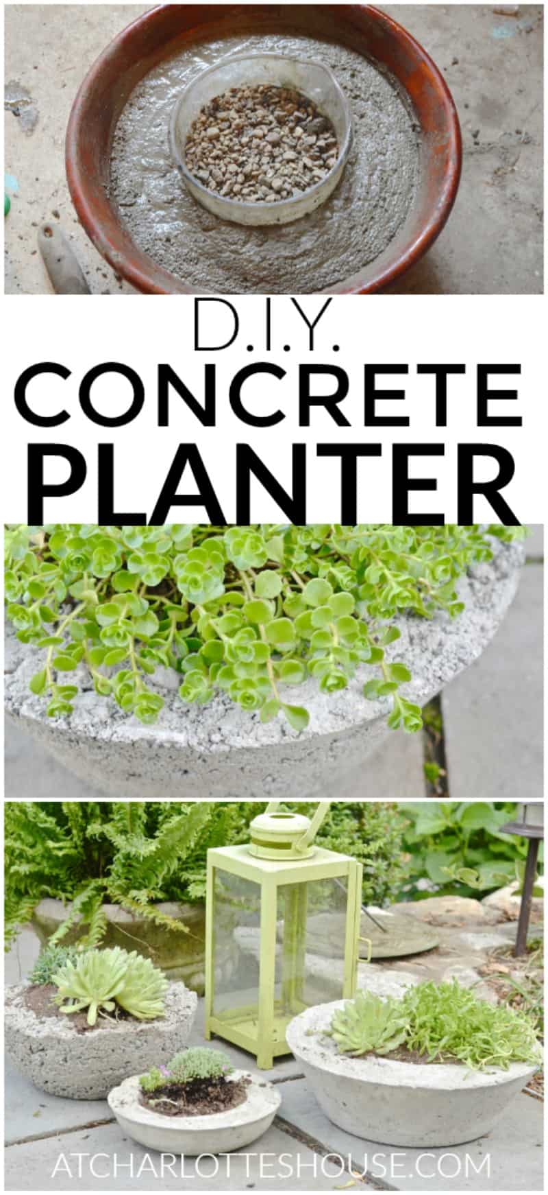 These concrete planters are hands down the favorite thing I've made for our backyard!