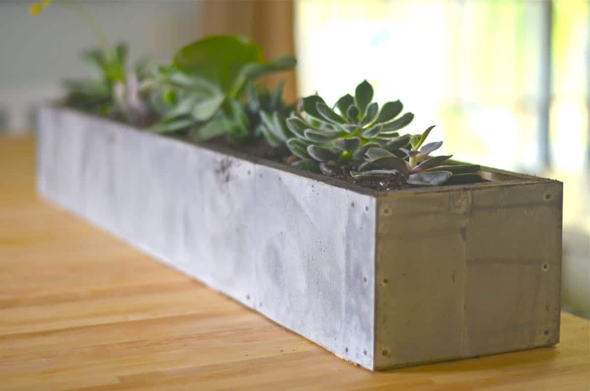 DIY succulent planter with zinc patina