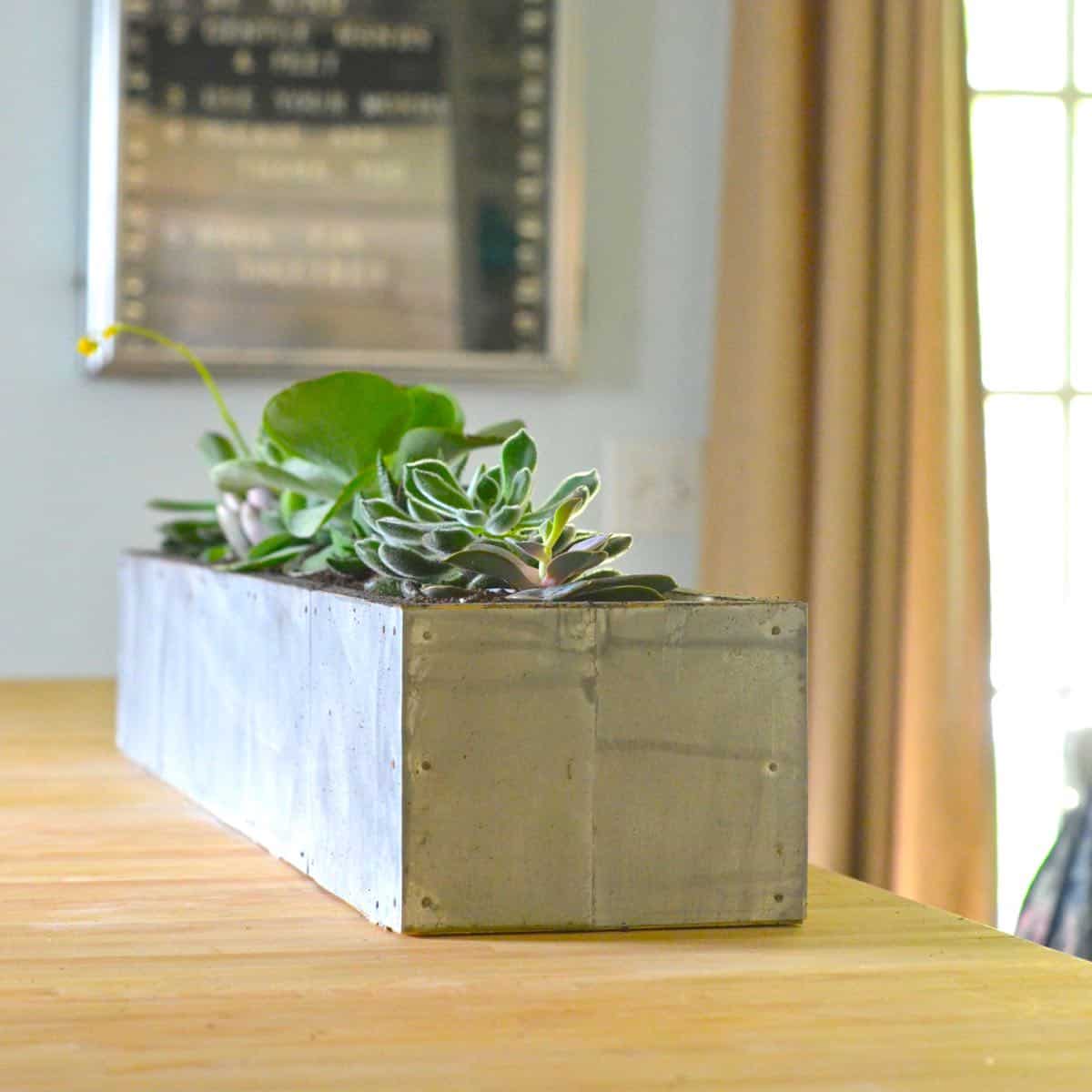 DIY succulent planter with zinc patina