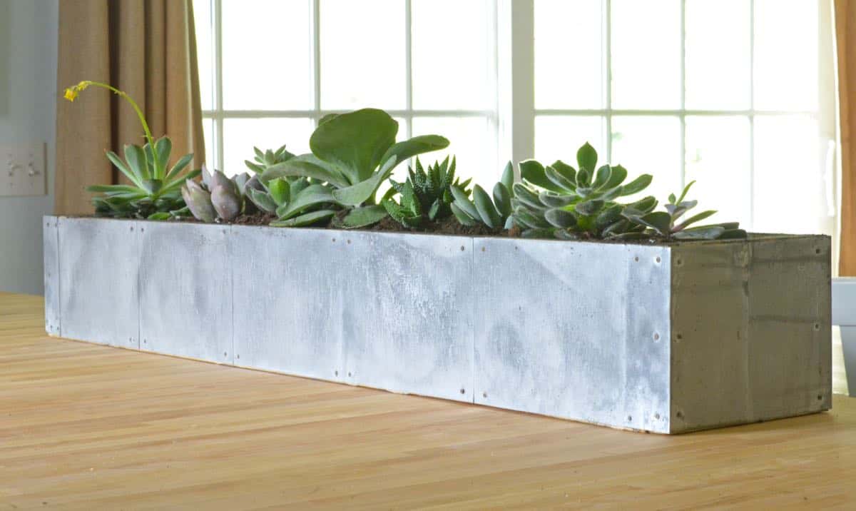 DIY succulent planter with zinc patina