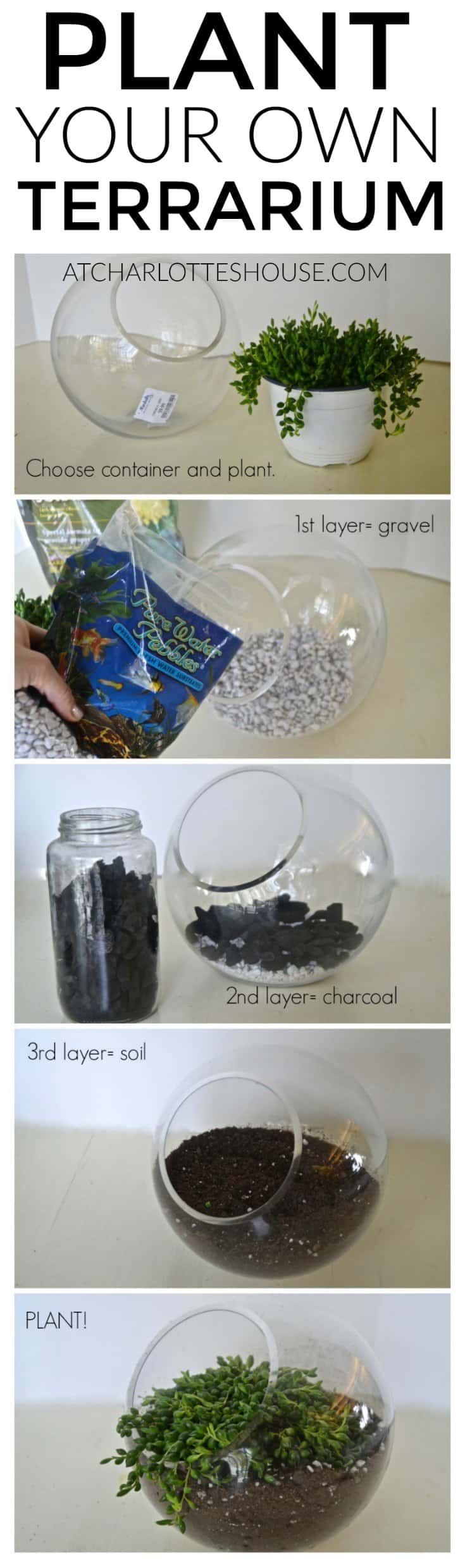 Easy tips to plant a healthy and hearty terrarium... super helpful!