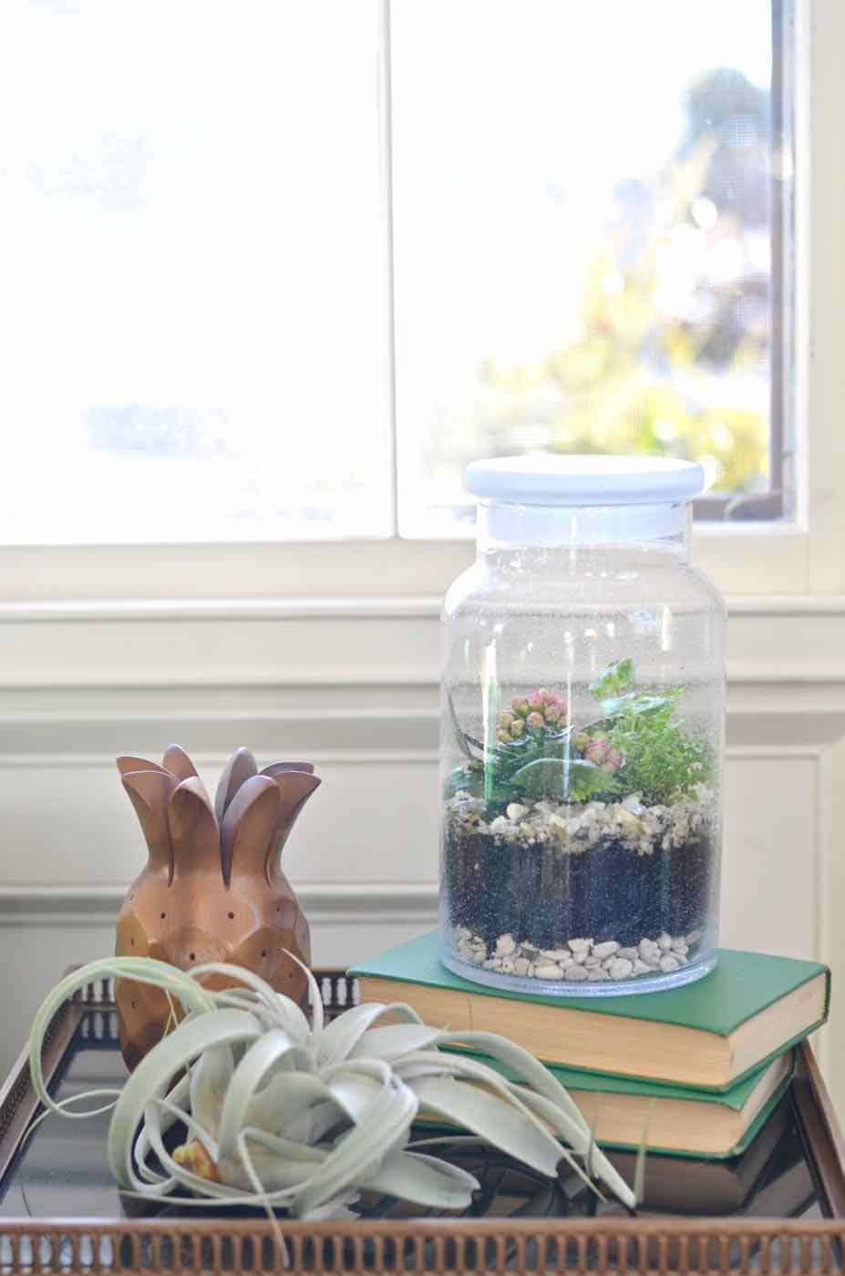 Plant your own lush green terrarium.