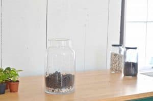 Plant your own lush green terrarium.