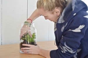 Plant your own lush green terrarium.