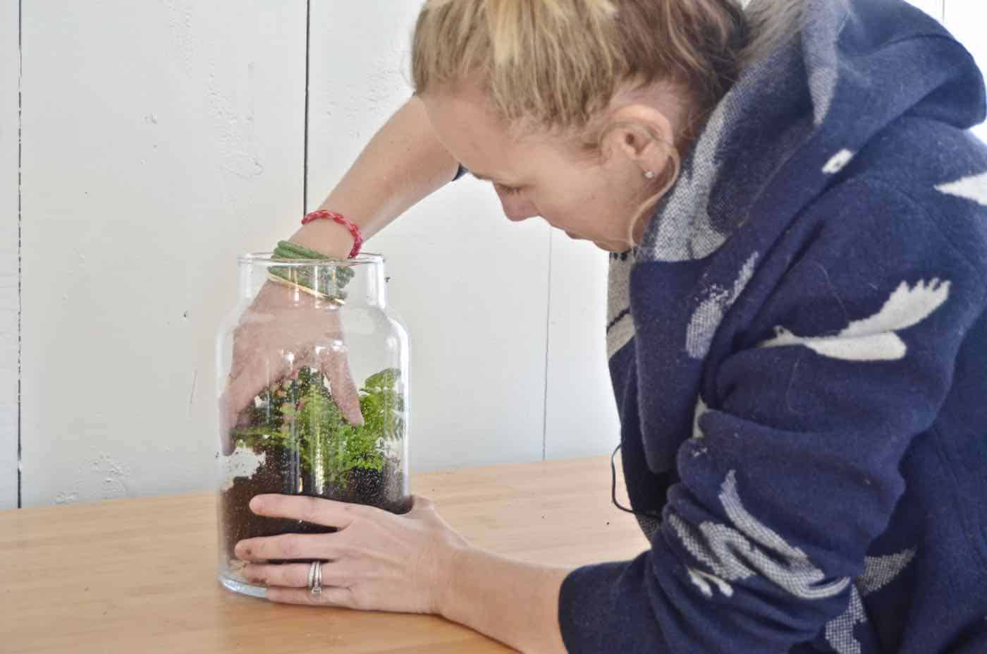 Plant your own lush green terrarium.