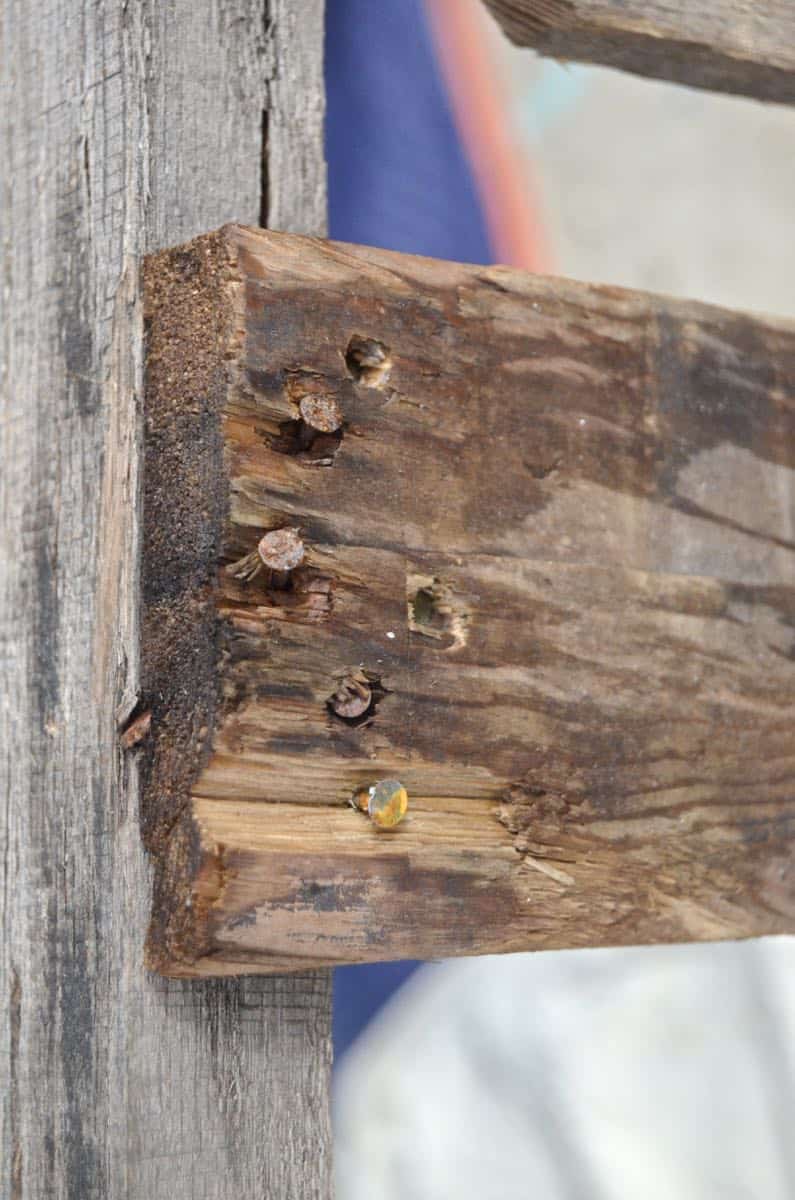 Learn how to break down a pallet to use the reclaimed wood for rustic projects.