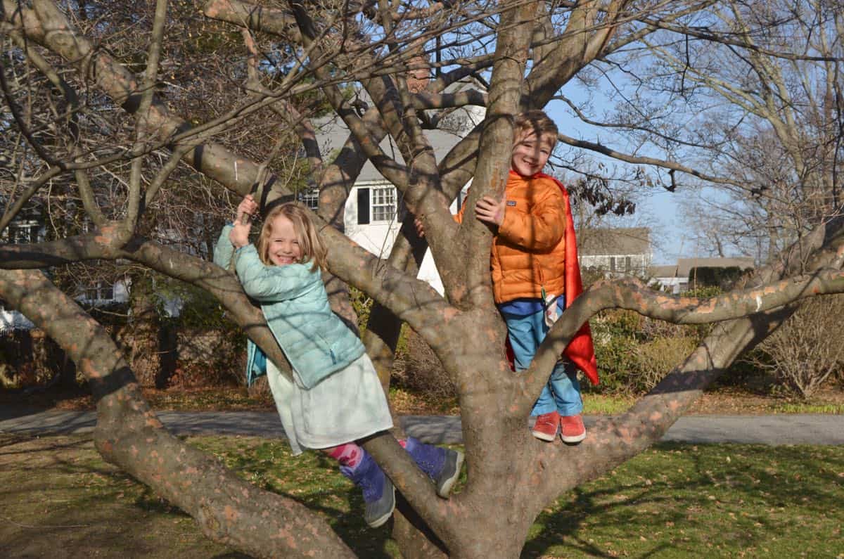 kids in climbing tree at the new house