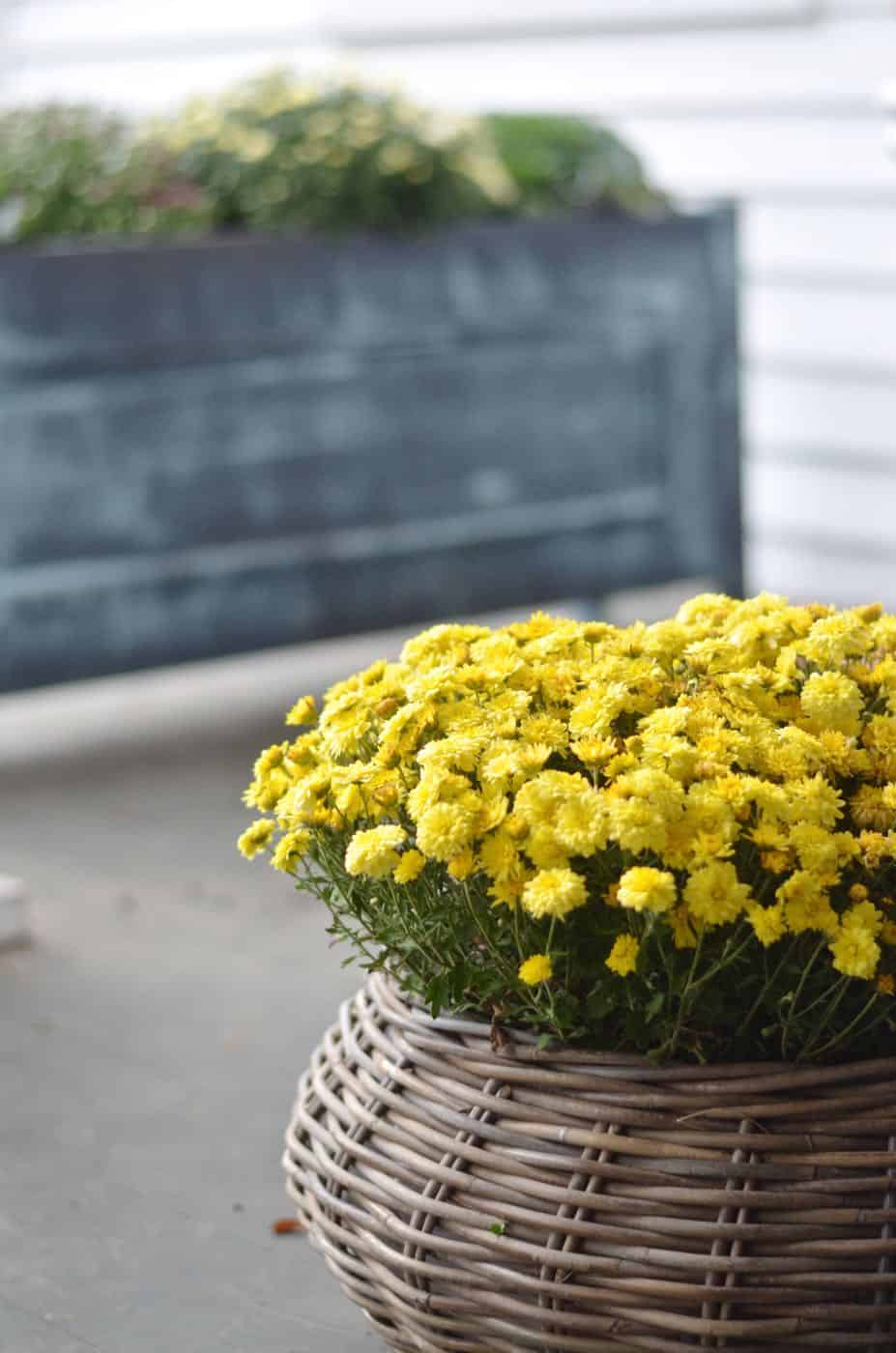 DIY wooden metallic planters with faux painting technique.