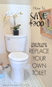 Replace Your Own Toilet