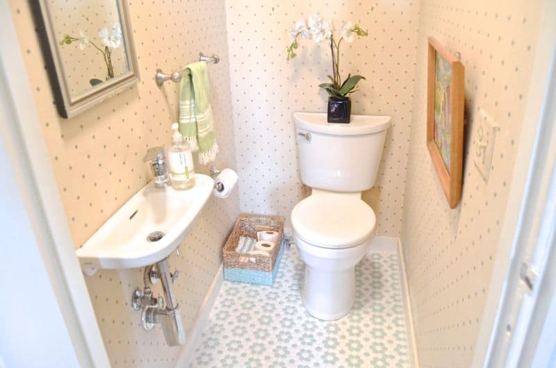 toilet in powder room