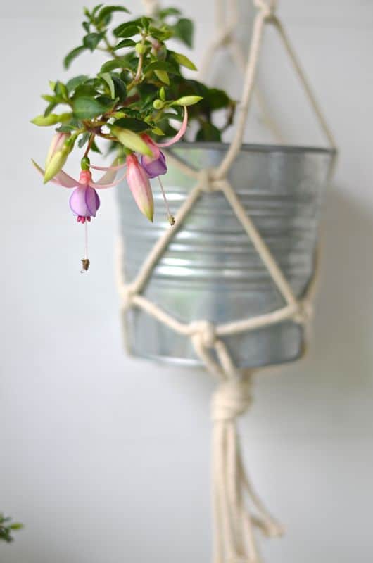 hanging flower pot