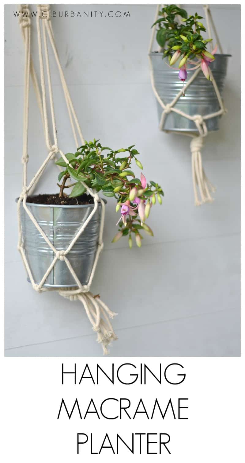 Simple macrame plant holders. Ten minutes and under $5.