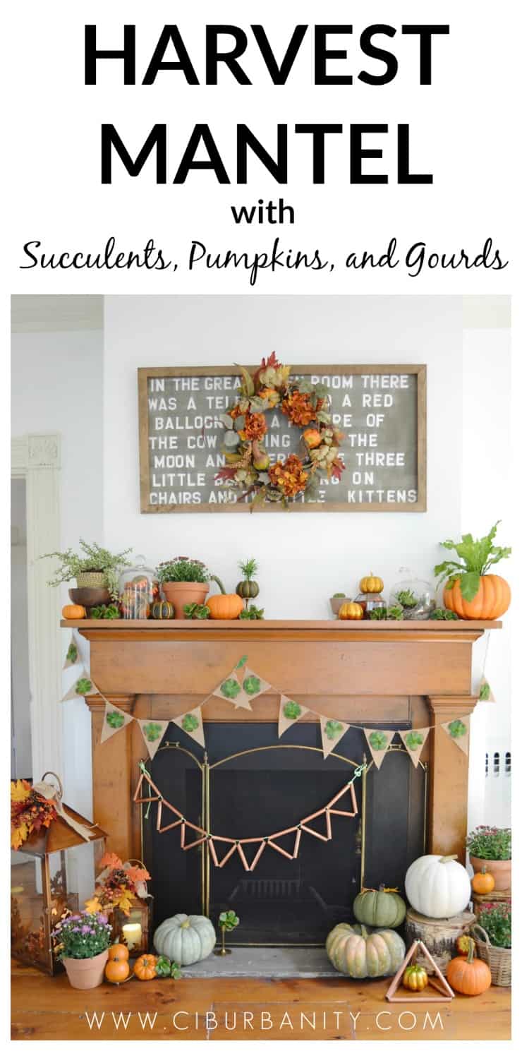 Fall harvest mantel with pumpkins and gourds and succulents.