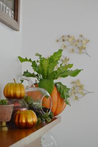 Fall harvest mantel with pumpkins and gourds and succulents.