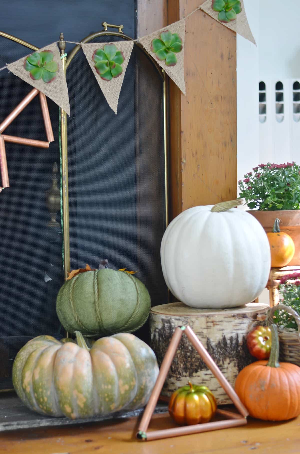 Fall harvest mantel with pumpkins and gourds and succulents.