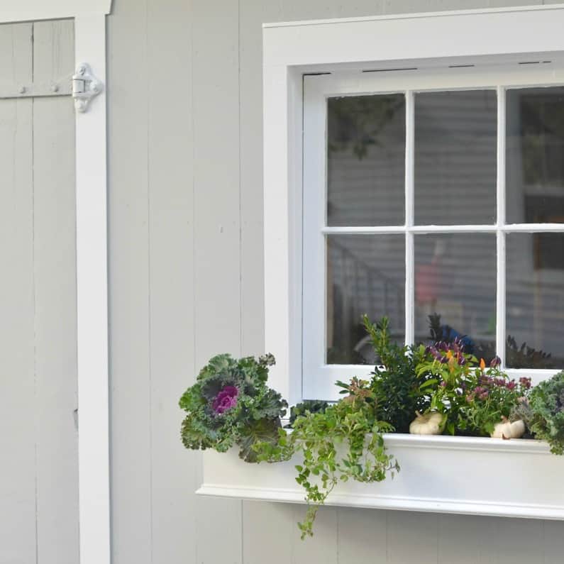 Backyard shed makeover- adding window boxes.