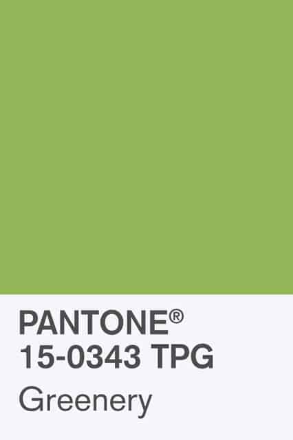 green Pantone color of the year used in decorating.