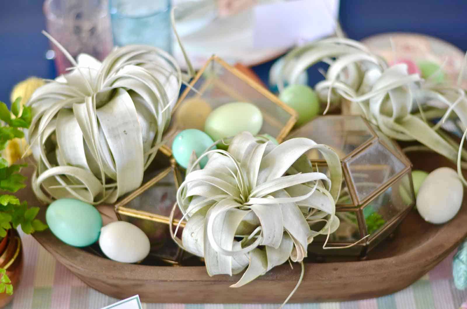 Lush coral and blue eclectic easter tablescape.