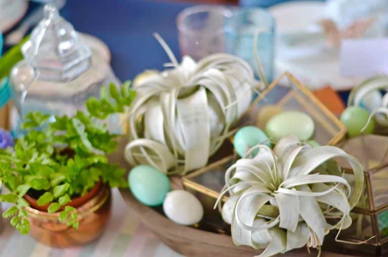 Easter Tablescape - At Charlotte's House