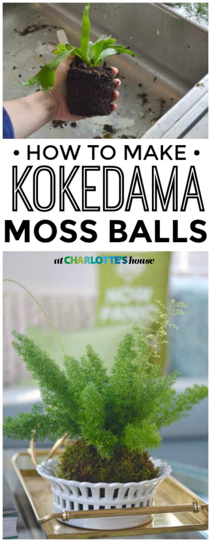 Make these adorable kokedama moss balls with two simple ingredients... I love these for spring and have already made 5 of them!