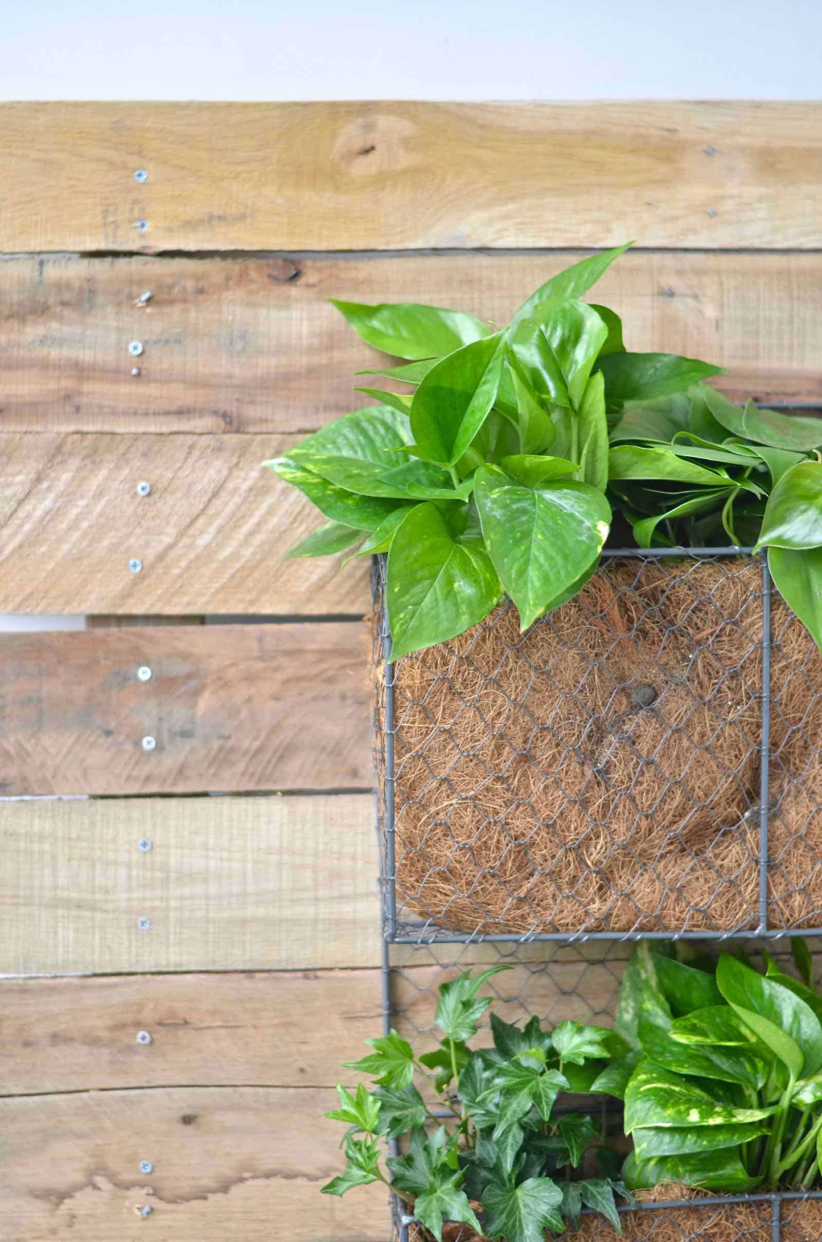 DIY Pallet wood wall planter