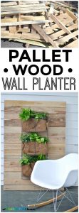 This project cost me zero dollars... I used old pallets and leftover wire wall paper storage... I love that its just a little bit of rustic!