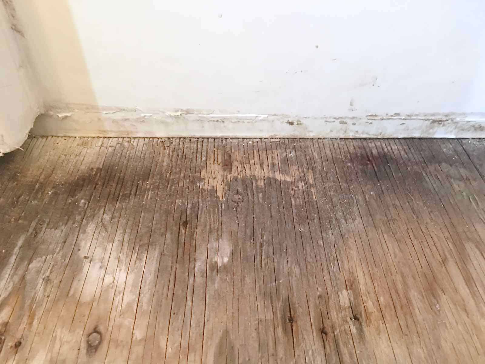 Working on the floor in the master bathroom... water damage to subfloor.