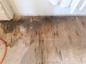 How to patch a damaged wooden subfloor.