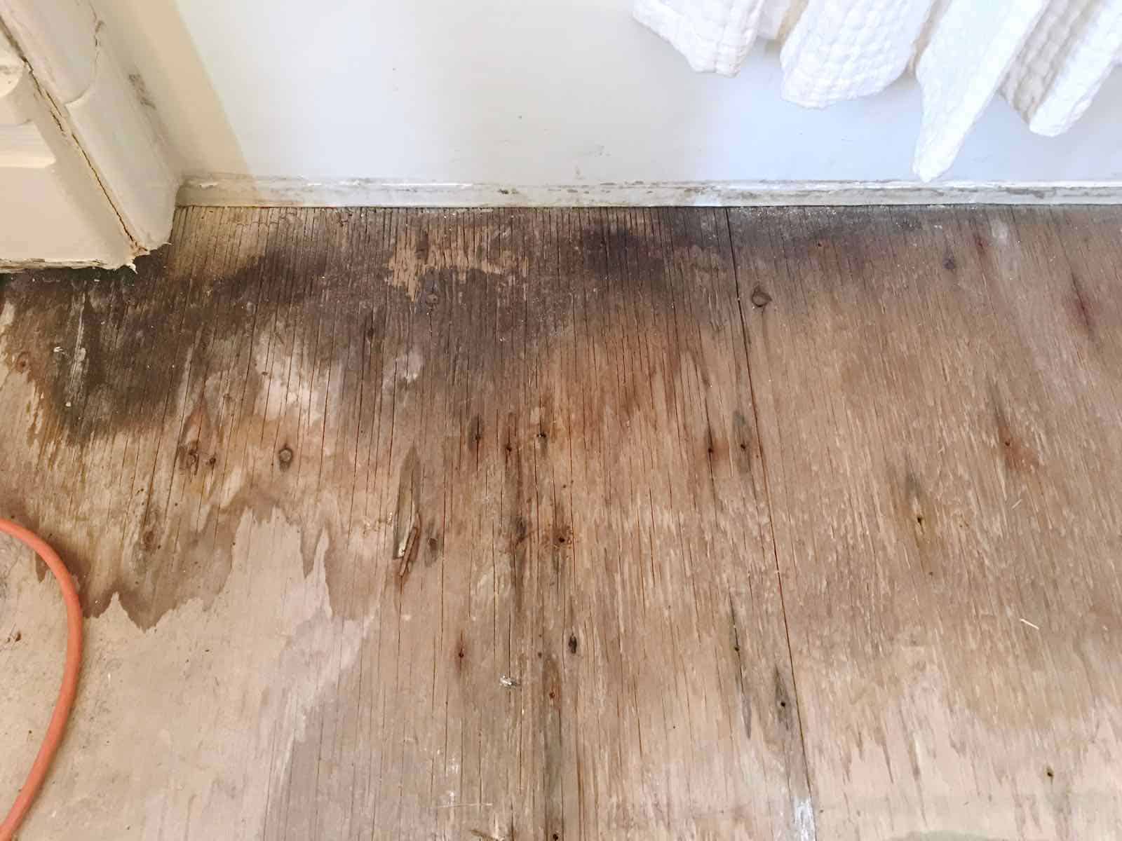 How To Replace Subfloor In A Bathroom - Carpet Bathroom ...