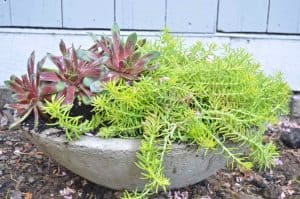 How to design a cool and functional raised garden bed.