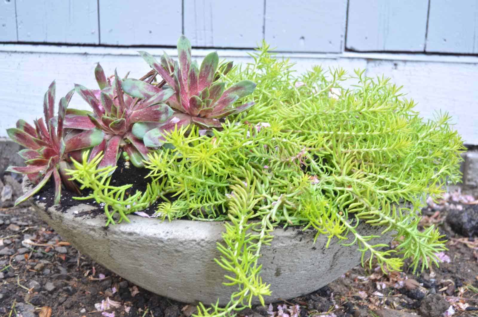 How to design a cool and functional raised garden bed.