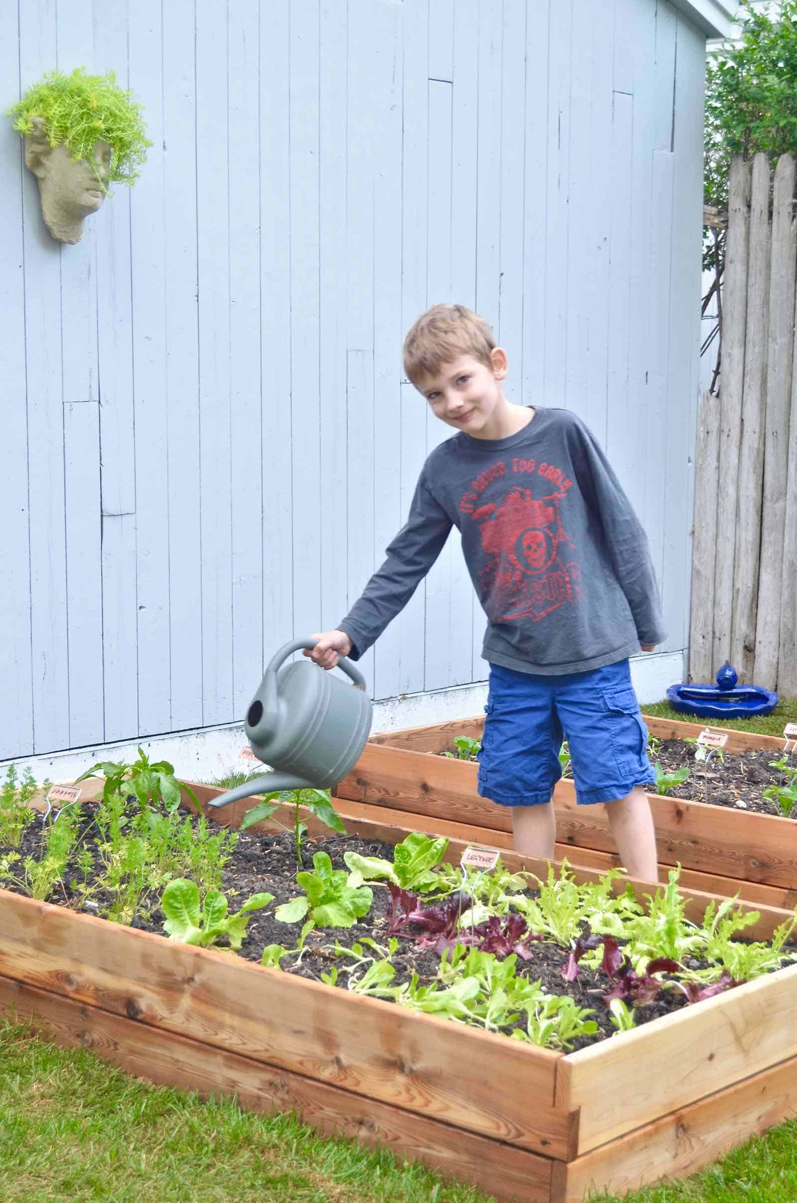 How to design a cool and functional raised garden bed.