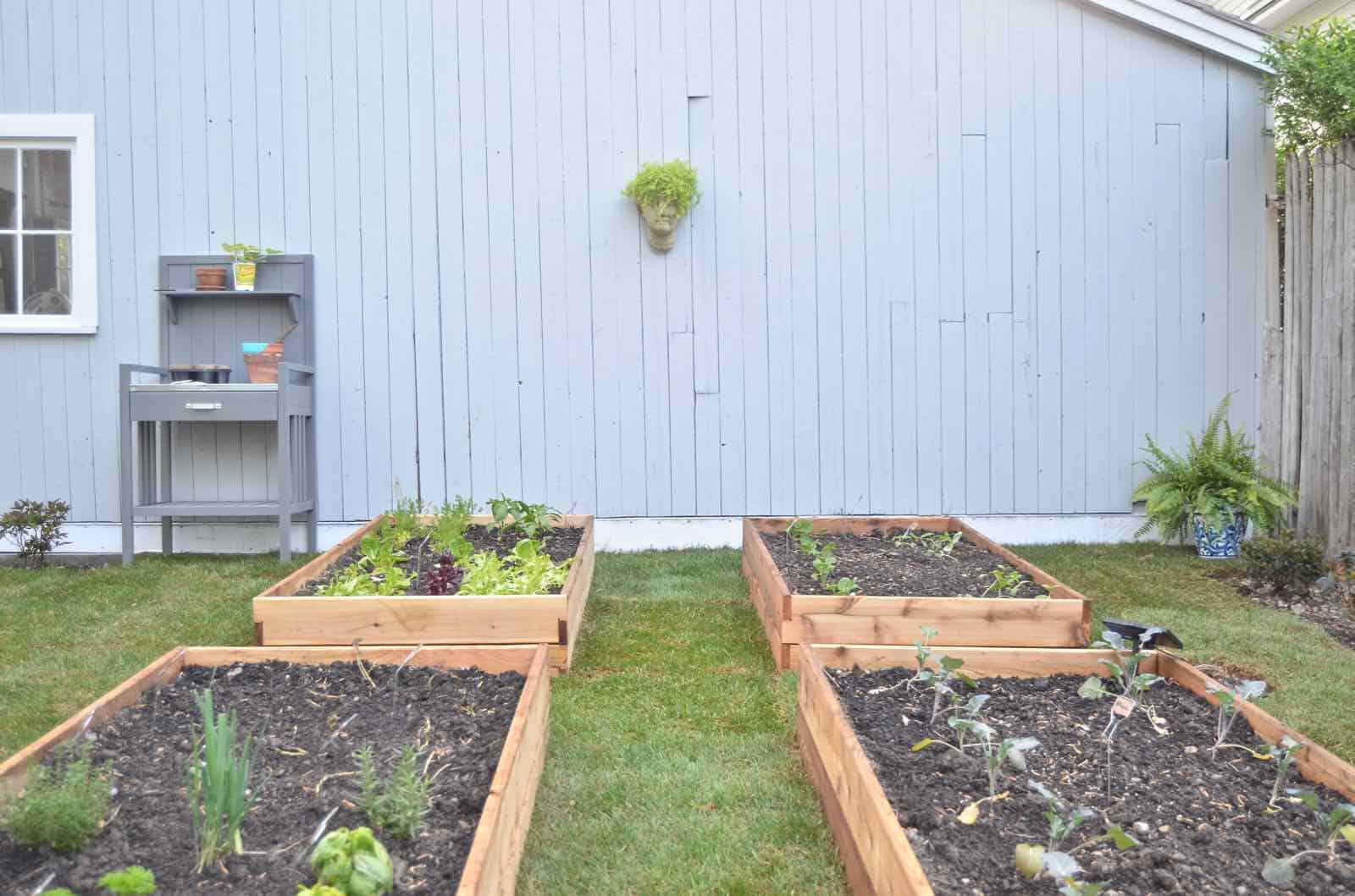 How to design a cool and functional raised garden bed.