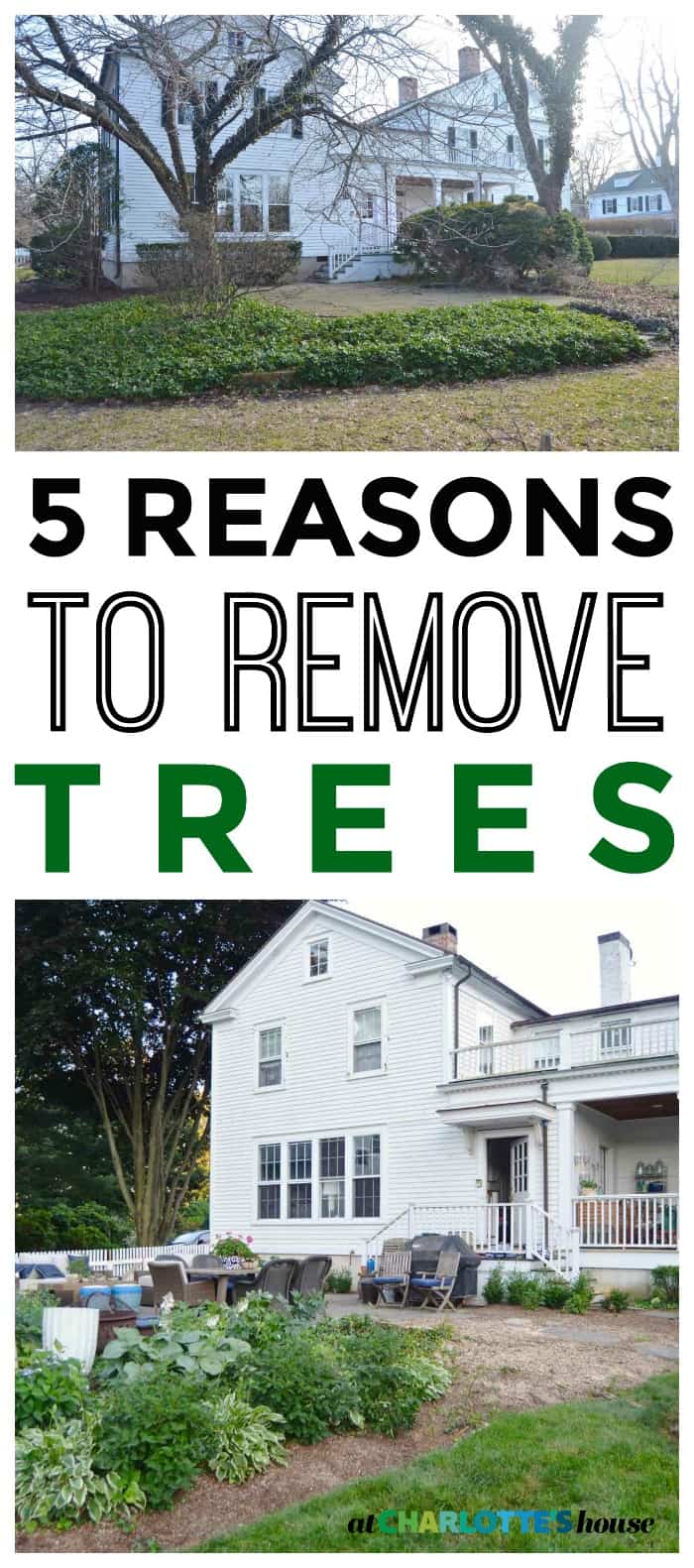 5 reasons to consider when deciding whether or not to remove a tree on your property.