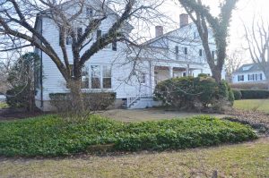 5 reasons to remove trees on your property
