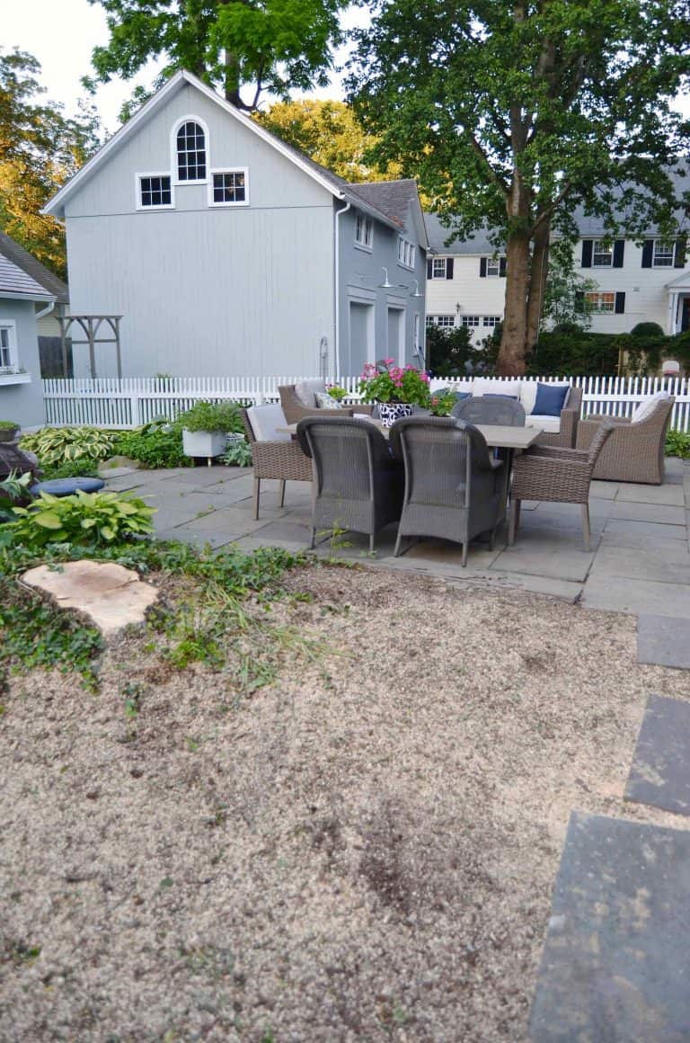 5 Reasons to Remove Trees At Charlotte's House