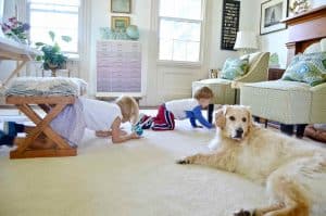 playing on office carpet