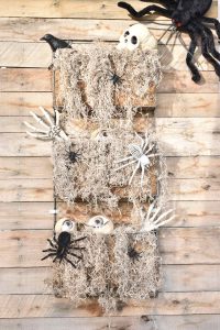 eyeballs in plank planter