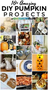 best pumpkin DIYs... so many great options for pumpkin themed decorating