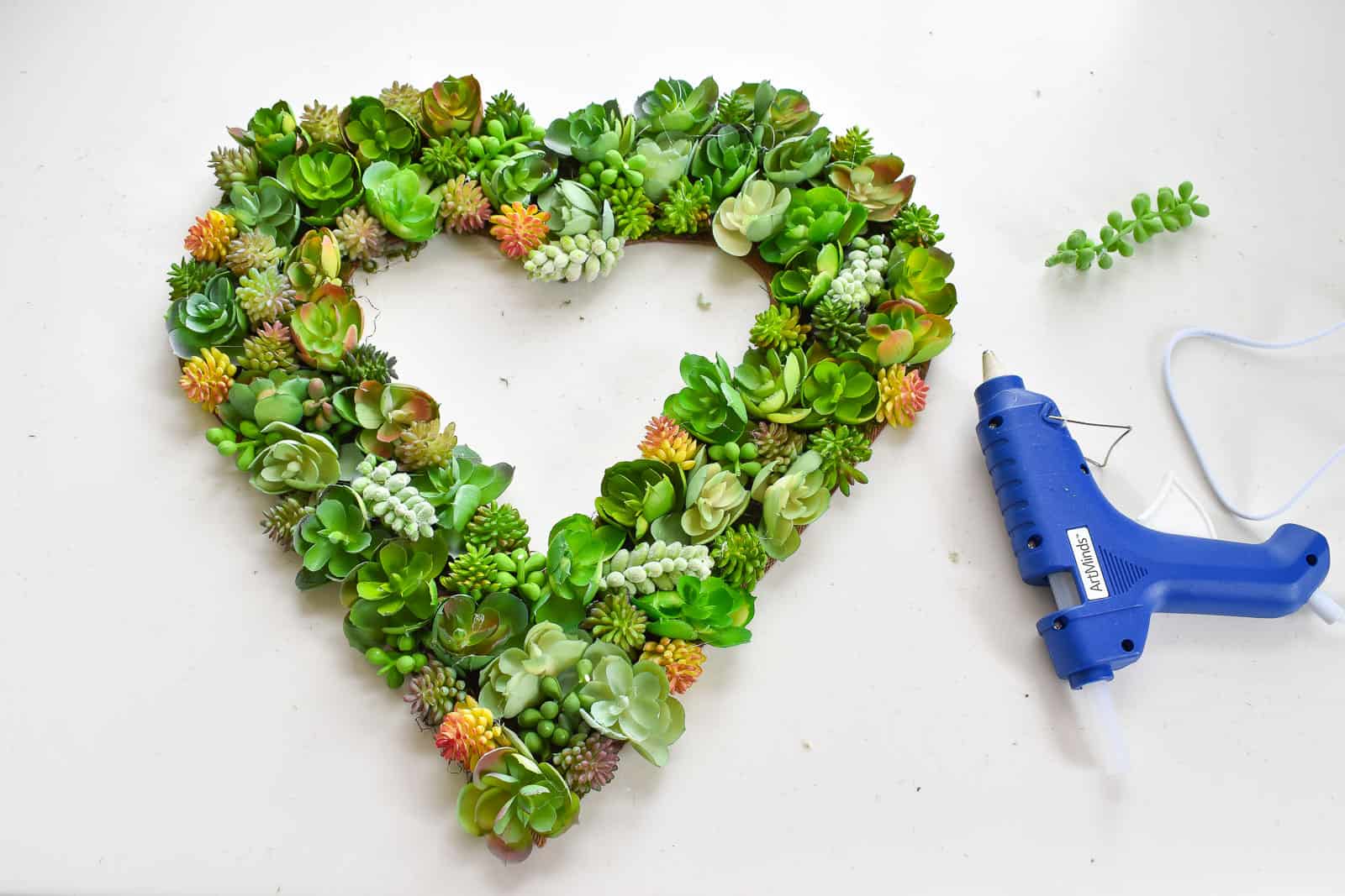 succulents glued on wreath