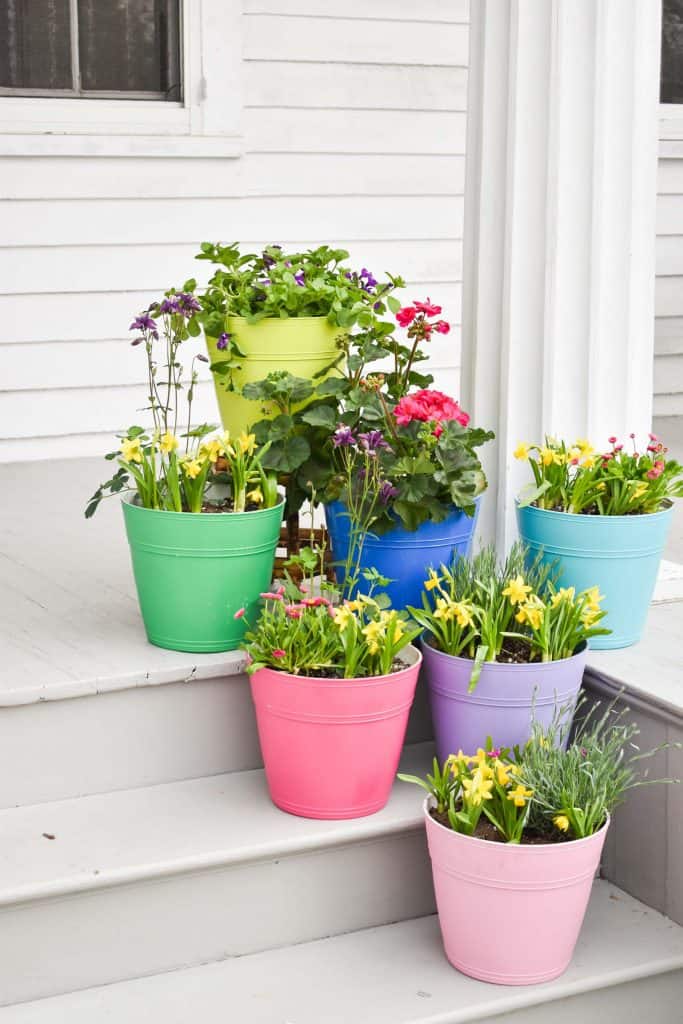 colorful planters painted with homeright spray tent