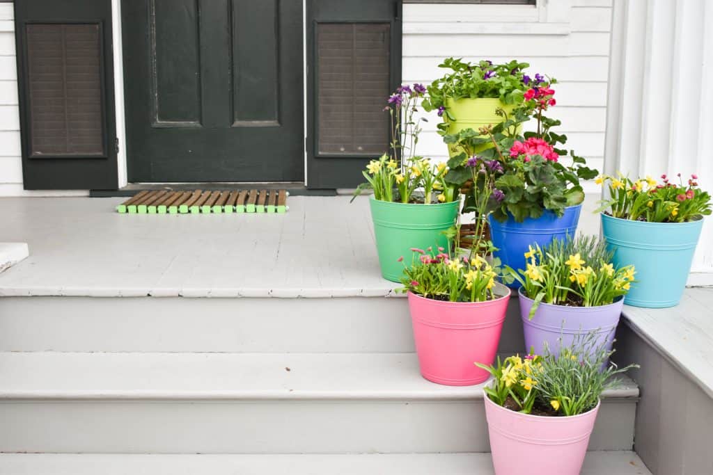 home right spray tent spring planters