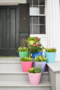 colorful planters painted with homeright spray tent