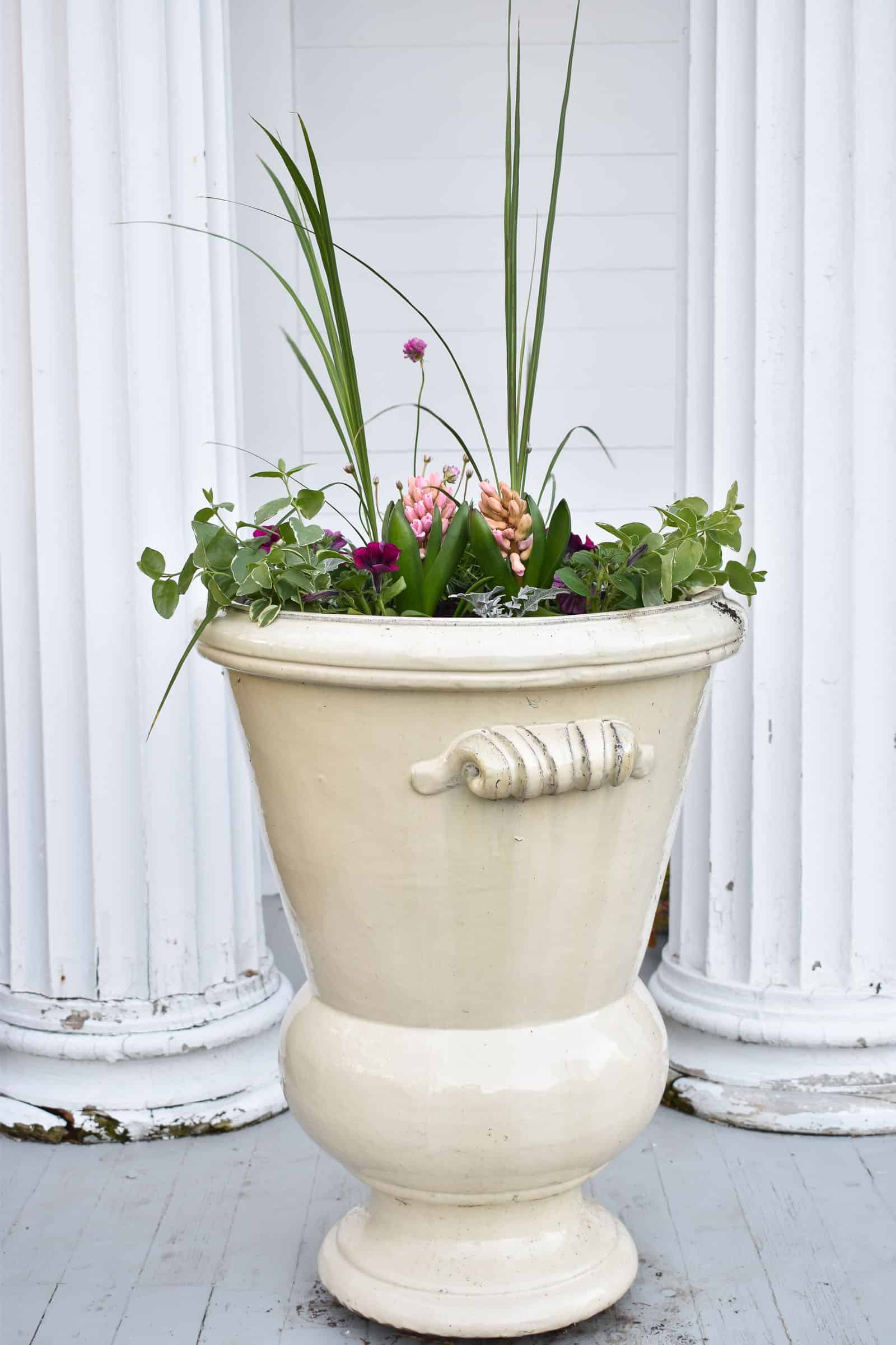 Spray Shelter and Spring Planters - At Charlotte's House