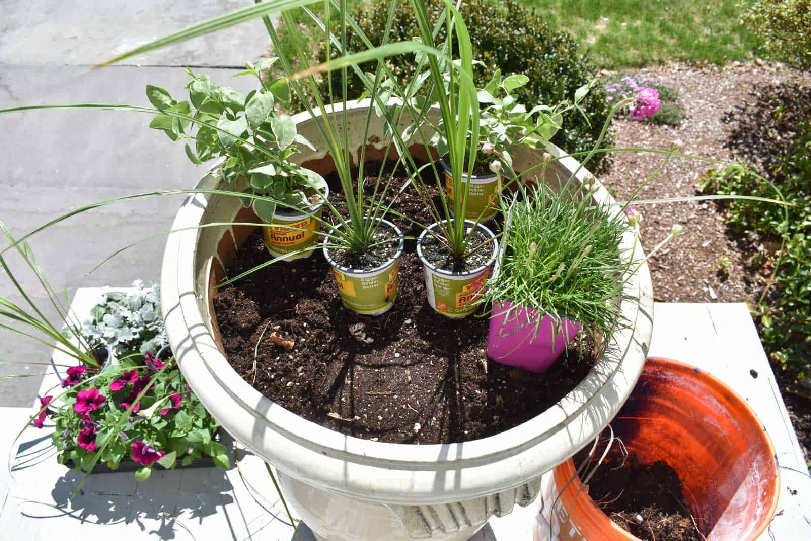 Layout plants in planters