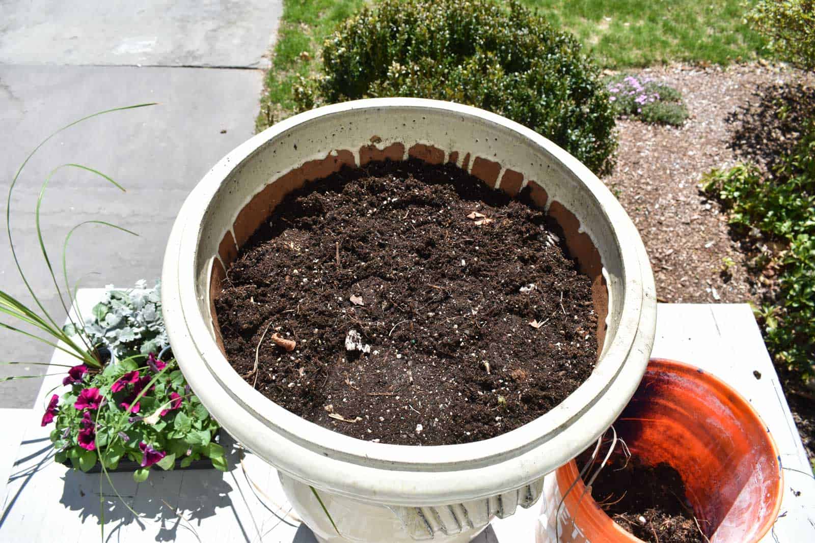 remove the dead plants from winter planters