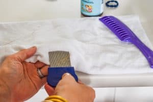 wipe the lice comb off onto a white towel